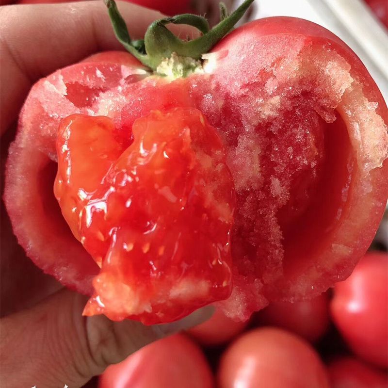 西红柿新鲜沙瓤3/5斤包邮西红柿新鲜蔬菜农家现摘番茄整箱生吃