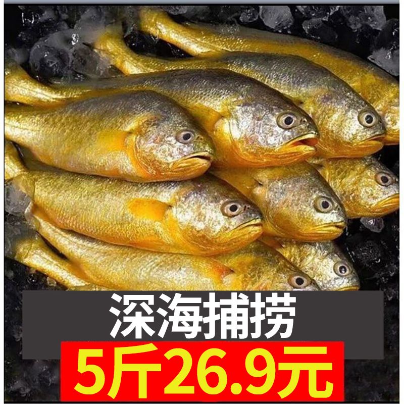 67b8c2d2-cdfa-4299-a543-6504a7740f02.jpg