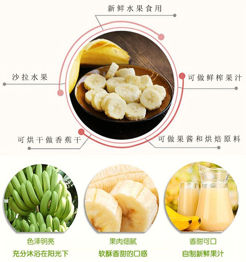 云南10斤自然熟香蕉新鲜孕妇水果批发当季整箱非红皮小米蕉芭蕉