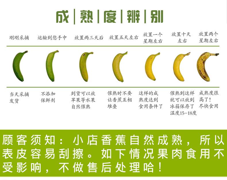 云南10斤自然熟香蕉新鲜孕妇水果批发当季整箱非红皮小米蕉芭蕉