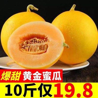 3cdd08c9d9fb3a96598f309be21ce84a.jpeg