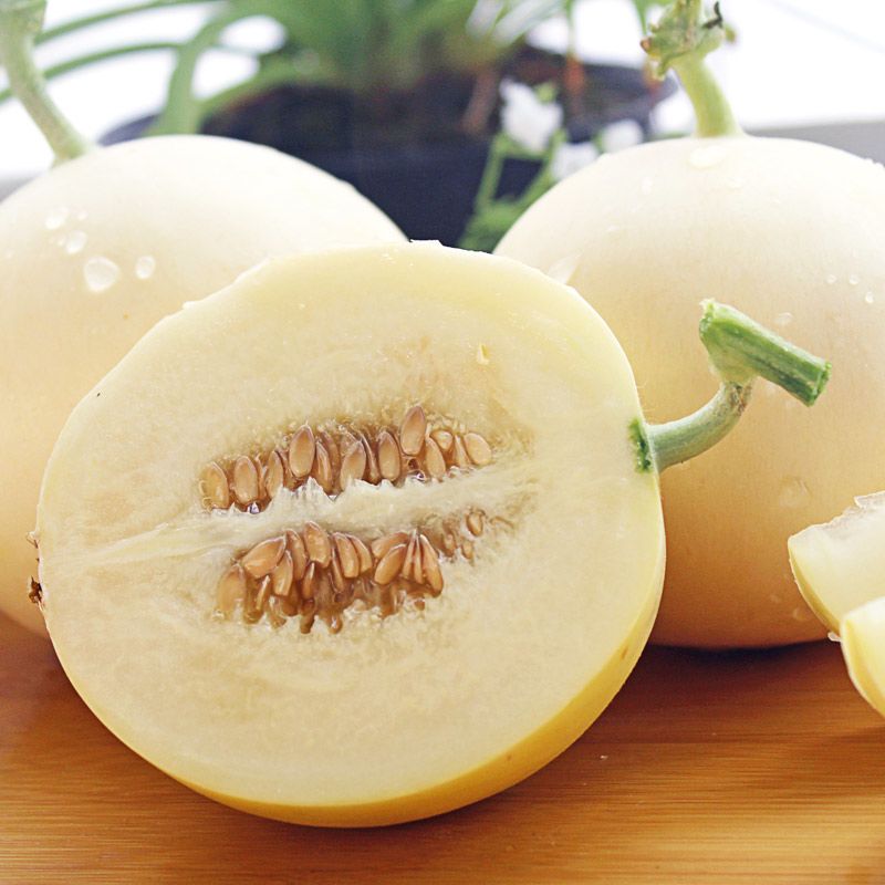 现摘陕西阎良甜瓜白皮蜜瓜当季新鲜水果应季香瓜2/5/10斤整箱批发