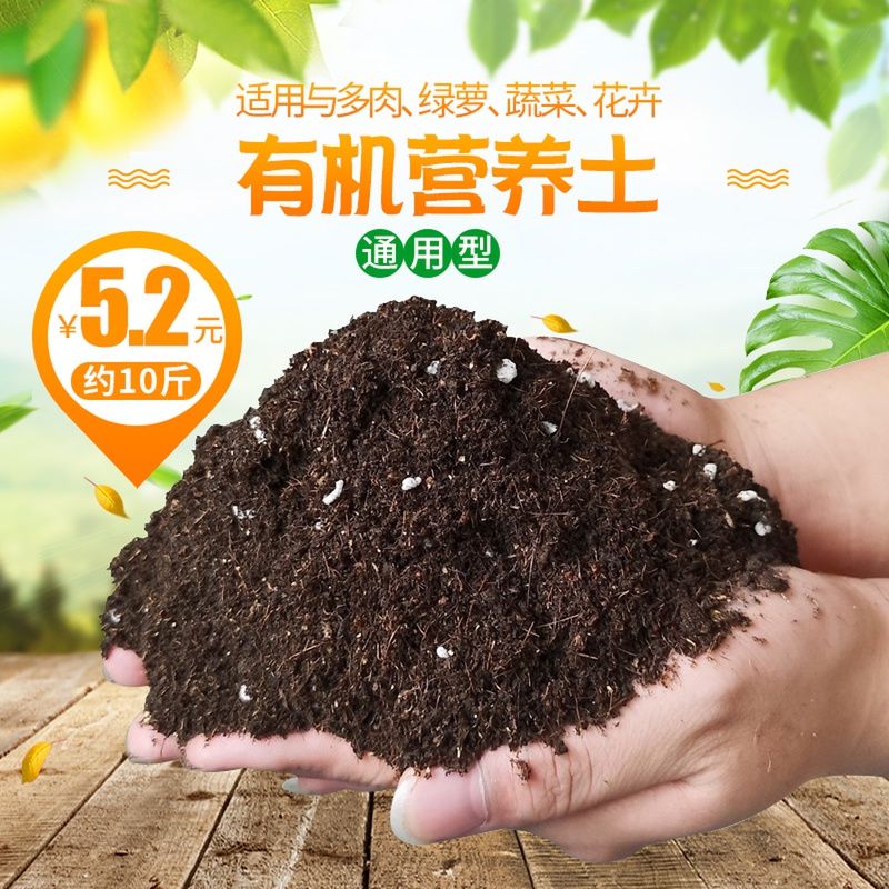 681a4171-b173-4367-bc59-86dcb406a9c3.jpg