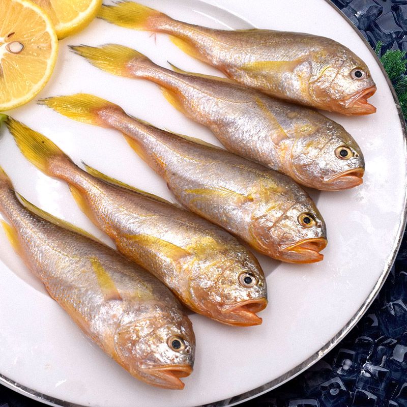 本产品为正宗周山野生小黄鱼,都是当天捕捞活冻的,咱家这款小黄鱼带
