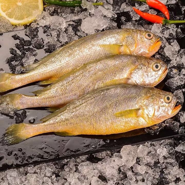 本产品为正宗周山野生小黄鱼,都是当天捕捞活冻的,咱家这款小黄鱼带