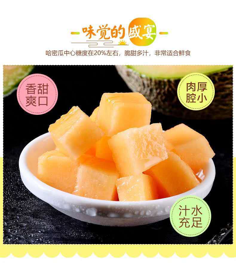 【现摘现发】新疆哈密瓜网纹瓜晓蜜瓜甜瓜西州蜜新鲜水果1.5-10斤