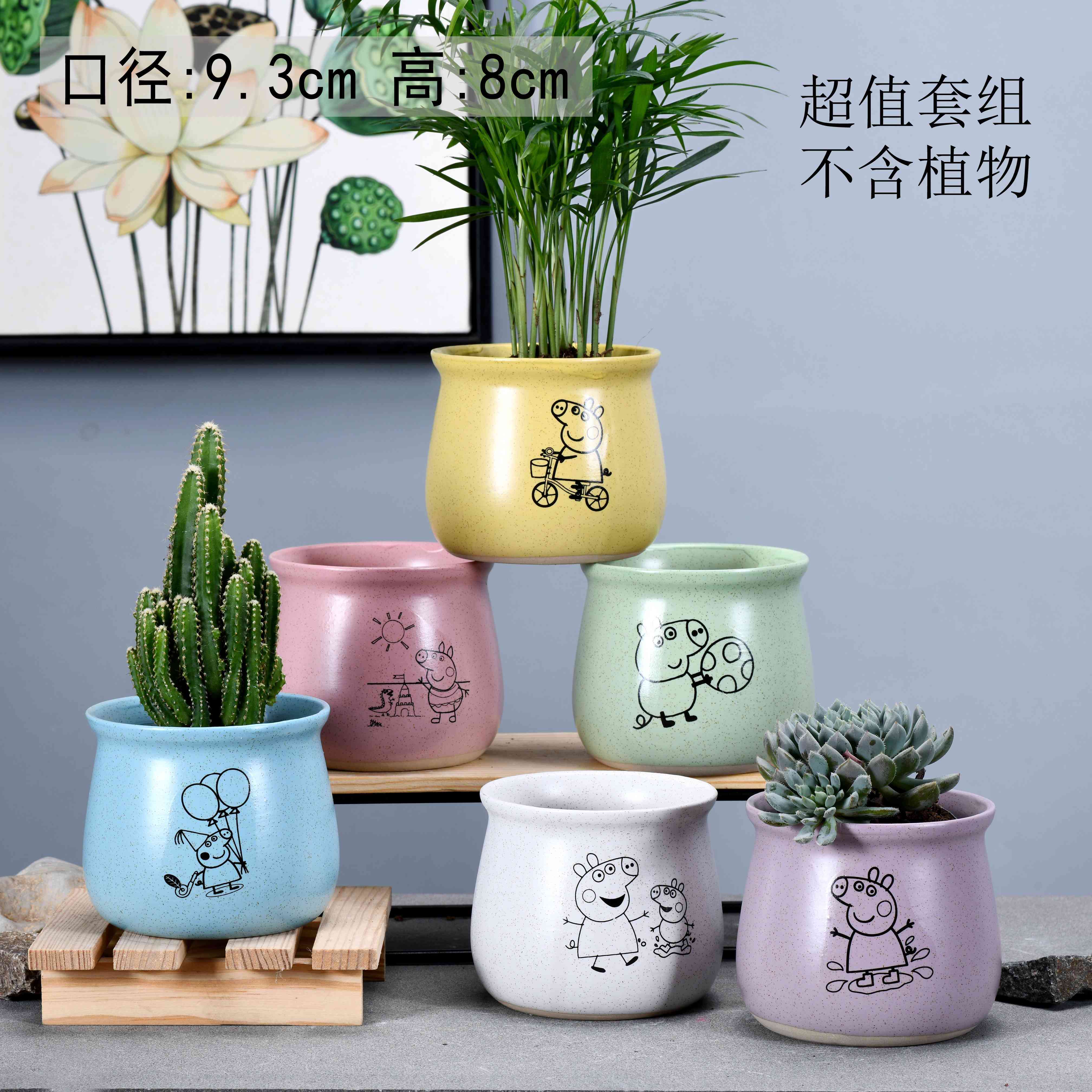 多肉小花盆托盘 31061b06-004f-48be-bf1b-94e420e8914d.jpg