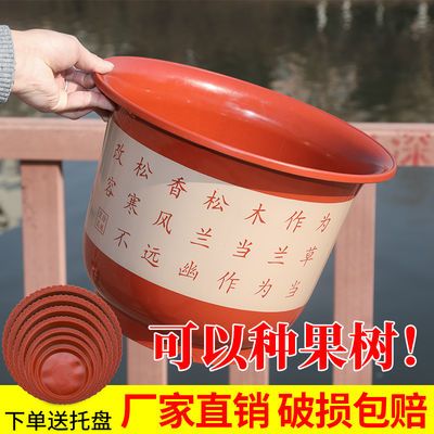 多肉小花盆组合套装 455dbb56c58fad1da005c33926927364.jpeg