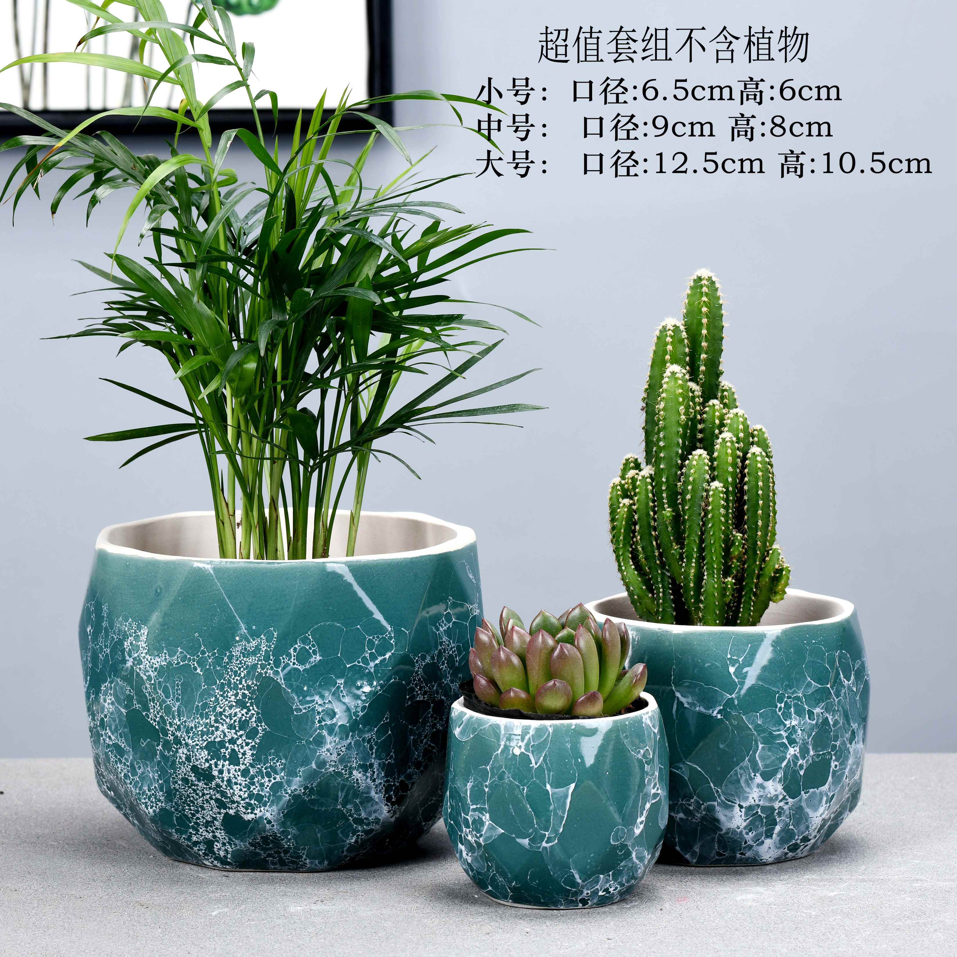 多肉小花盆可爱 d3be744c-6635-4628-b96c-dec6f6bc3ca2.jpg