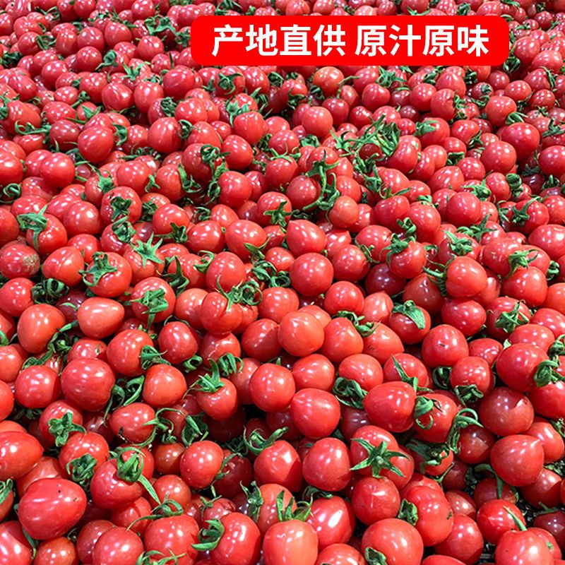 eb5b7f0f-643b-4fa2-8660-dda73f9b89dc.jpg