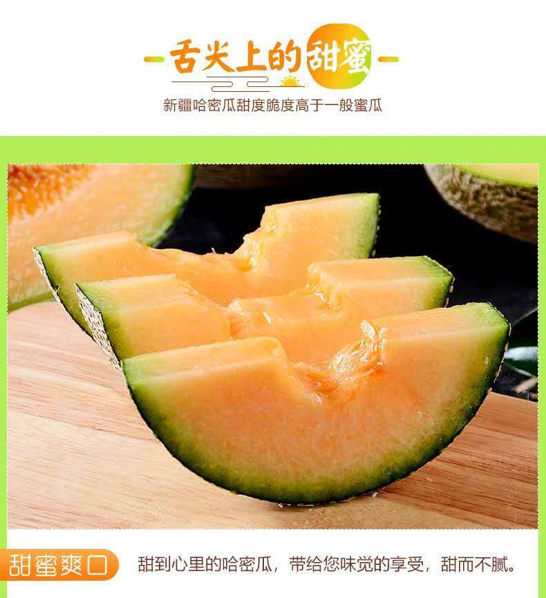 【现摘现发】新疆哈密瓜网纹瓜晓蜜瓜甜瓜西州蜜新鲜水果1.5-10斤