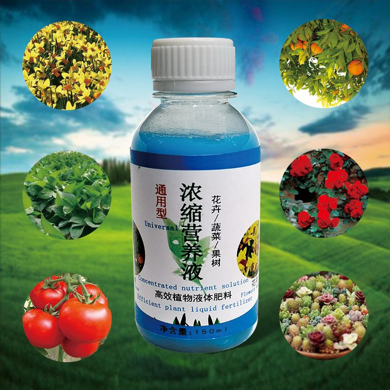 4d17f454-201e-4fb1-b505-7b60d931d377.jpg