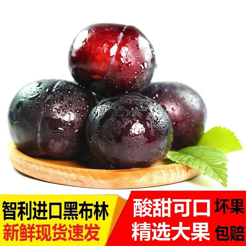 现货智利进口黑布林李子黑李子黑布朗水果新鲜酸甜脆李子孕妇水果
