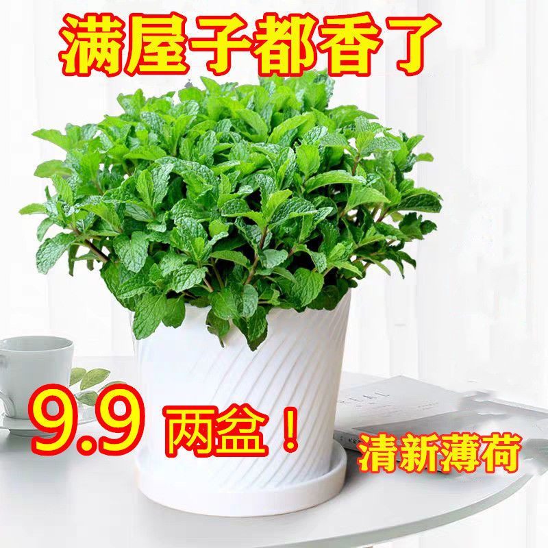 b3cfb39a-4a69-428f-a4c2-8ab858ffabf6.jpg