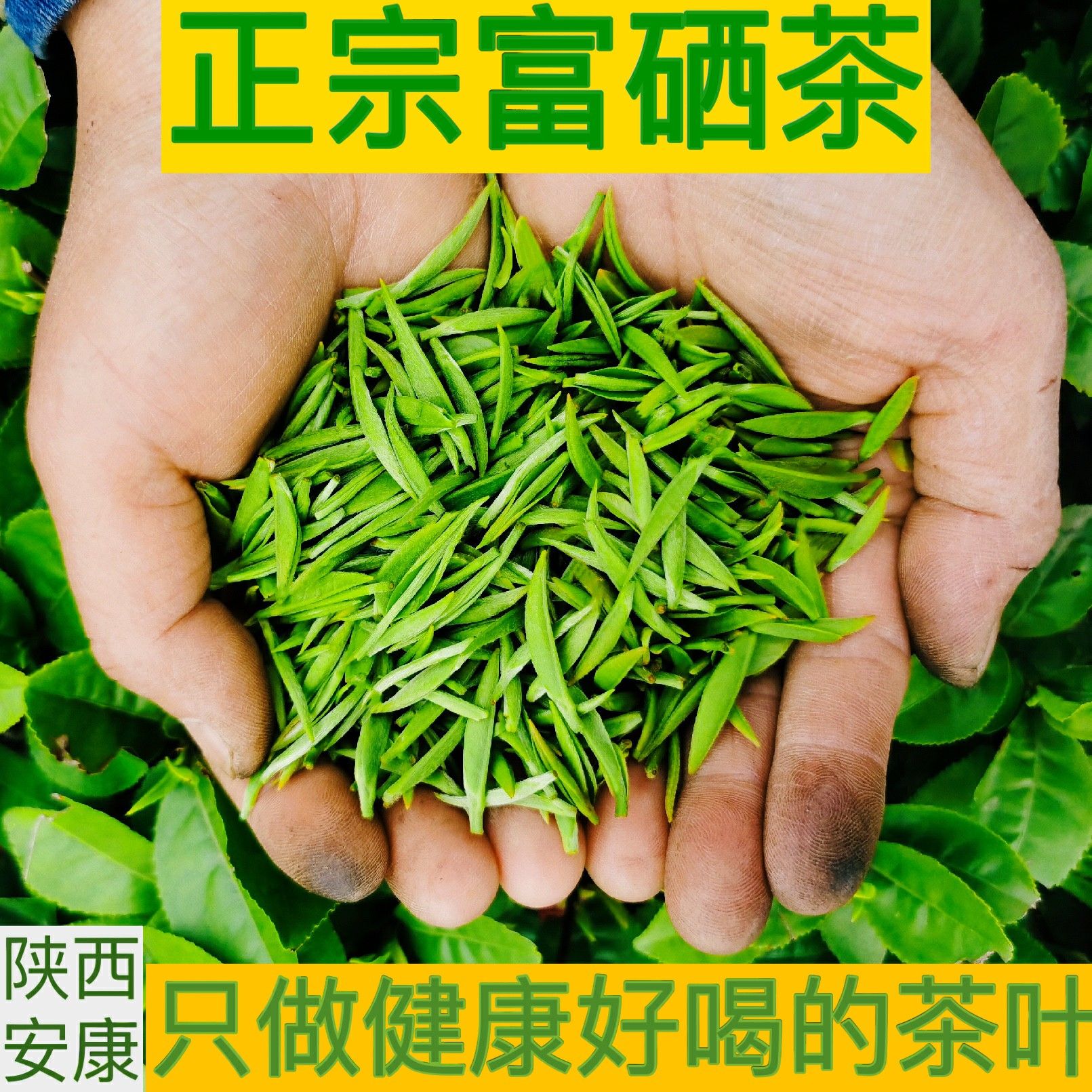 富硒茶叶绿茶2020新茶茶叶明前特级炒青茶散装浓香型多规格可选