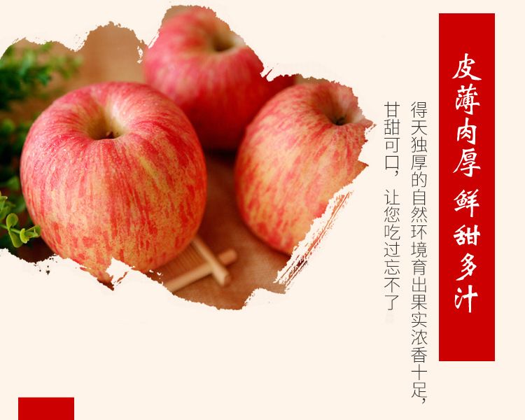 脆甜山东烟台栖霞红富士苹果3斤/5斤/10斤新鲜水果不打蜡