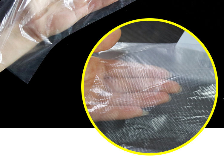 百翠鸟 【48小时内发货】一次性手套食品级透明薄膜塑料餐饮美发手膜吃龙虾手套防油污