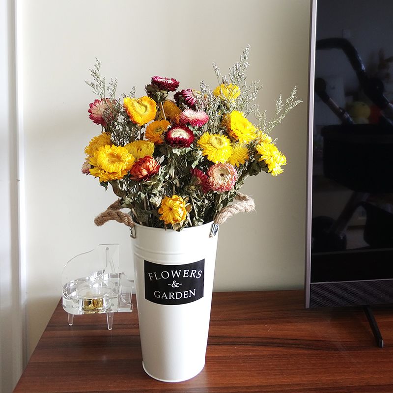 真花小雏菊干花菠萝菊真花带瓶家居装饰插花客厅小清新摆件