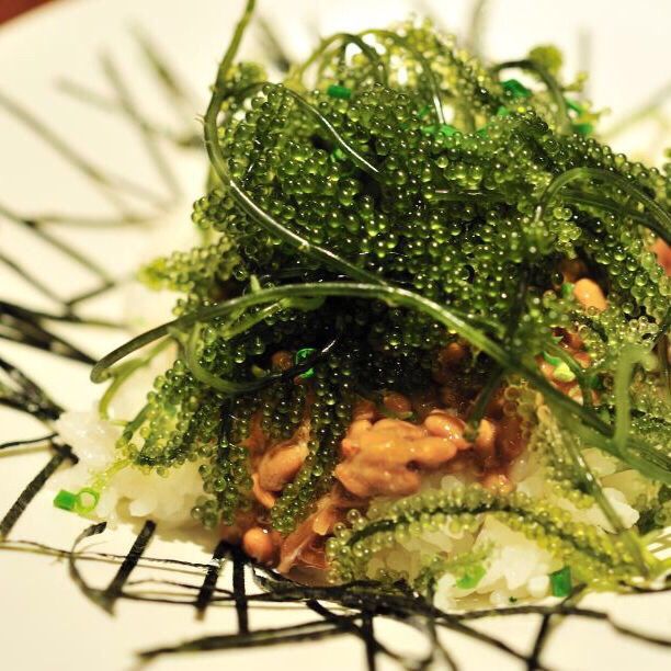 盐渍海葡萄100g新鲜活即食长寿菜海藻菜海菜裙带菜寿司绿色鱼子酱
