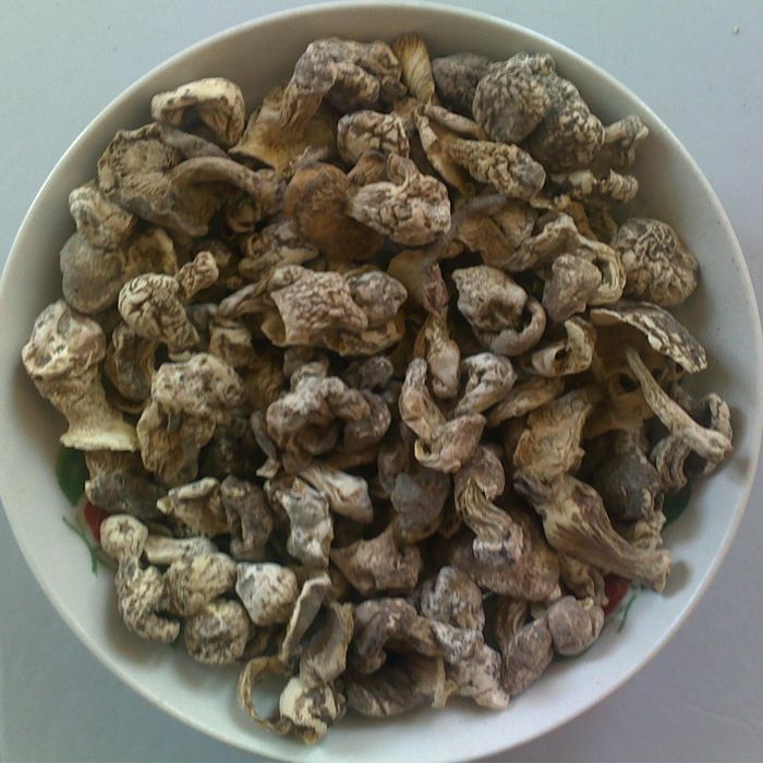 张家口口蘑野生蘑菇小蘑菇丁野蘑菇野生口蘑丁食用菌农产品150克【2月