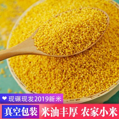 山西小米米脂黄小米粥2019新米农家自产五谷杂粮月子米小黄米5斤