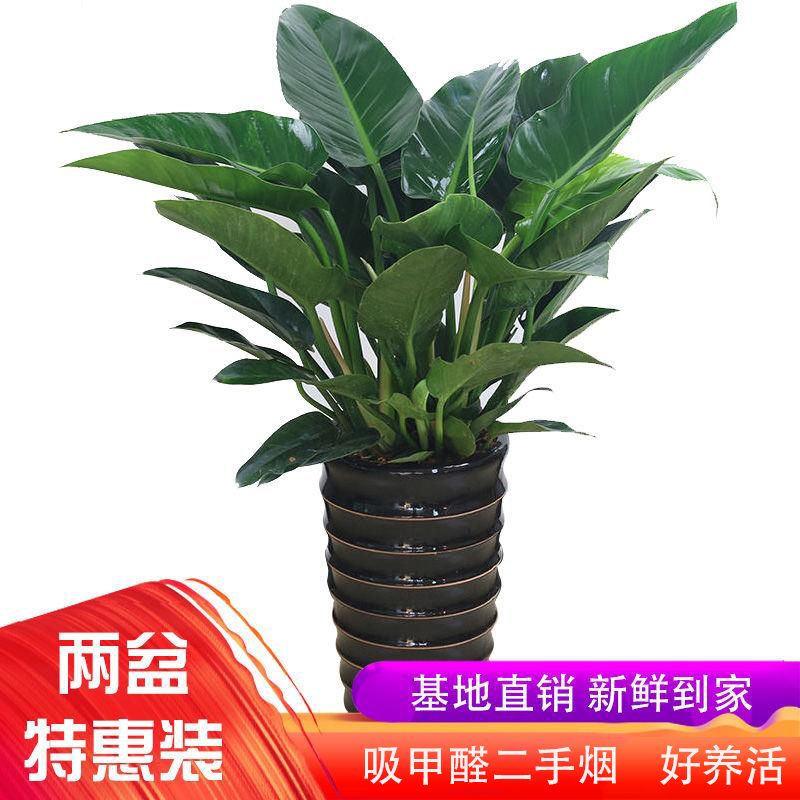 8c72f7f1-3ced-4d63-a2eb-289d1dd8ce13.jpg