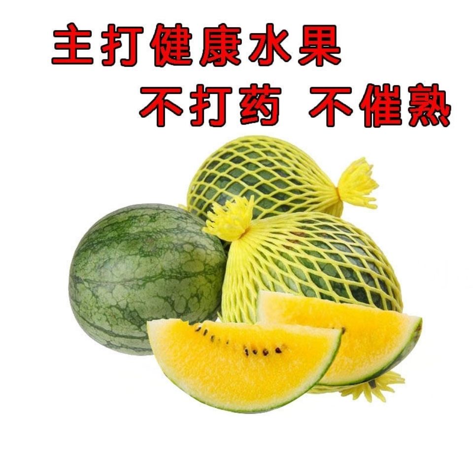 【现摘鲜甜多汁】皮薄农家种植新鲜 黄心肉西瓜