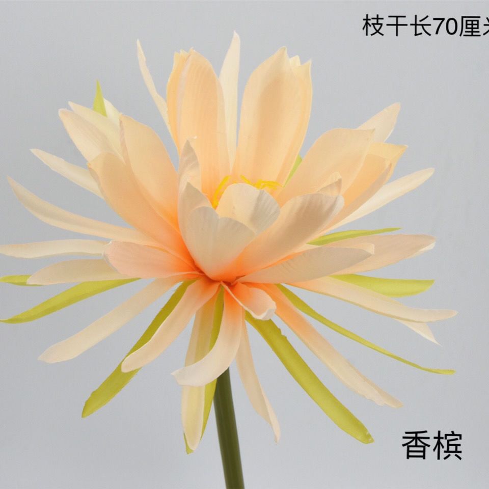 中国风汉服拍摄道具手持莲花昙花长绢花仿真家居饰品摆件假花古典 10月5日发完 虎窝拼