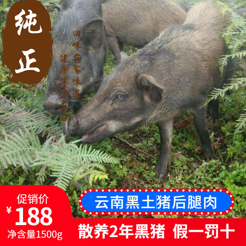 云南跑山猪优级排骨吊肚葫芦猪新鲜排骨农家山林放养黑土猪肉三斤