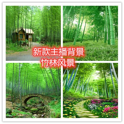 主播直播背景布墙纸装饰背景布抖音快手拍视频外景新款竹林背景布 虎窝拼