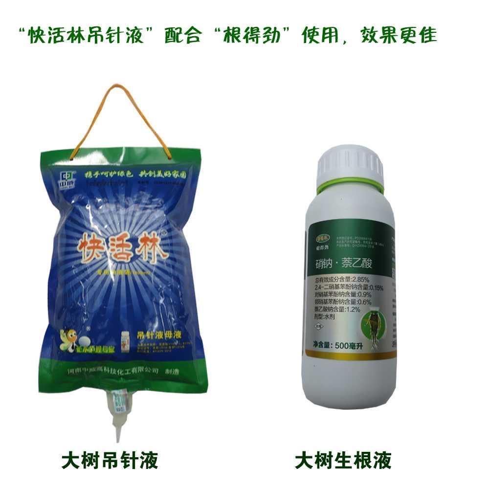 493f53bd-f51e-4728-a882-3f8a5655a249.jpg