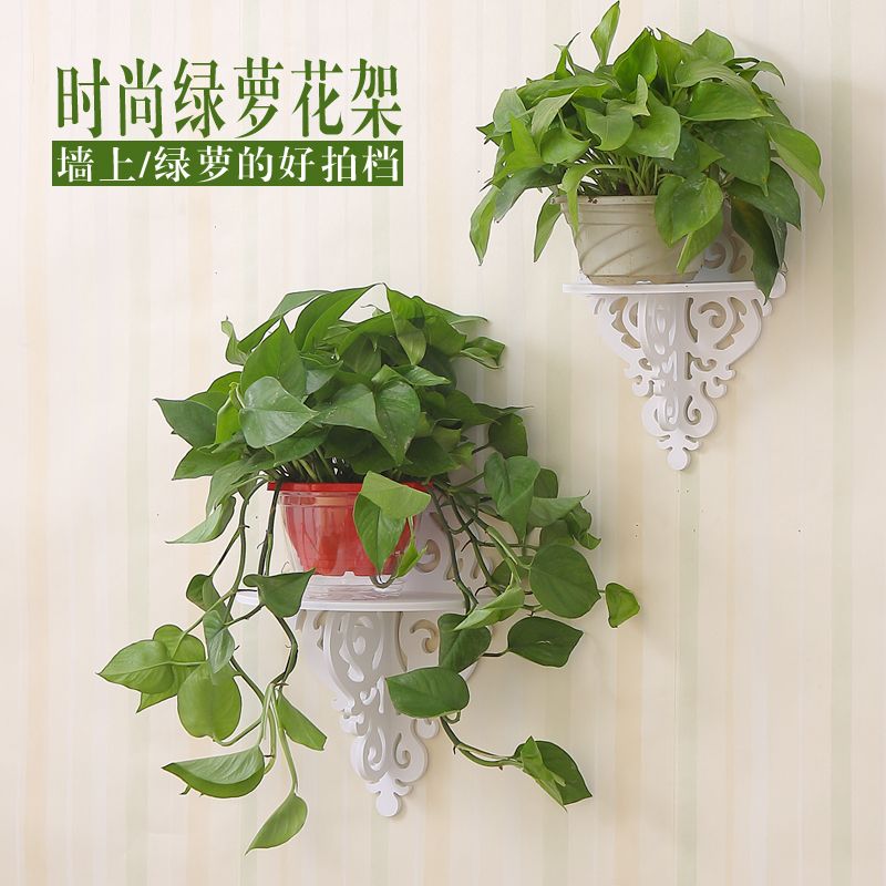 查看源网页