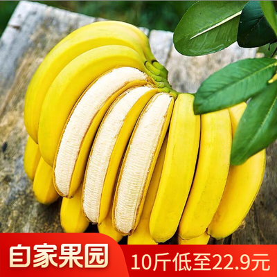云南自然熟绿香蕉水果新鲜整箱批发应季水果9-10斤装非小米蕉一箱