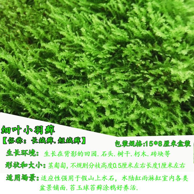 2404a25d-60d9-4a7b-83d3-38c82919e065.jpg
