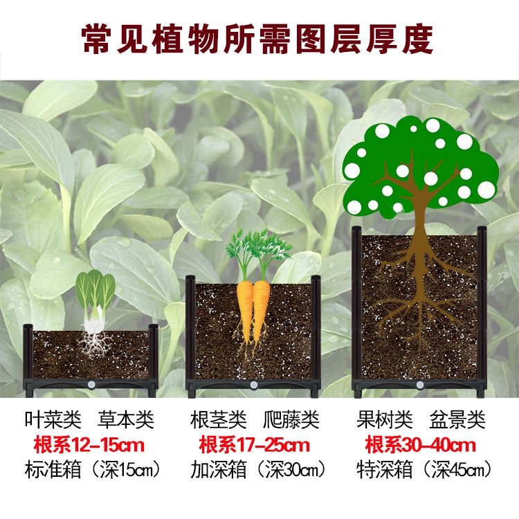 2c12fbe7-e675-4ca0-91be-2ce8ce6e641d.jpg