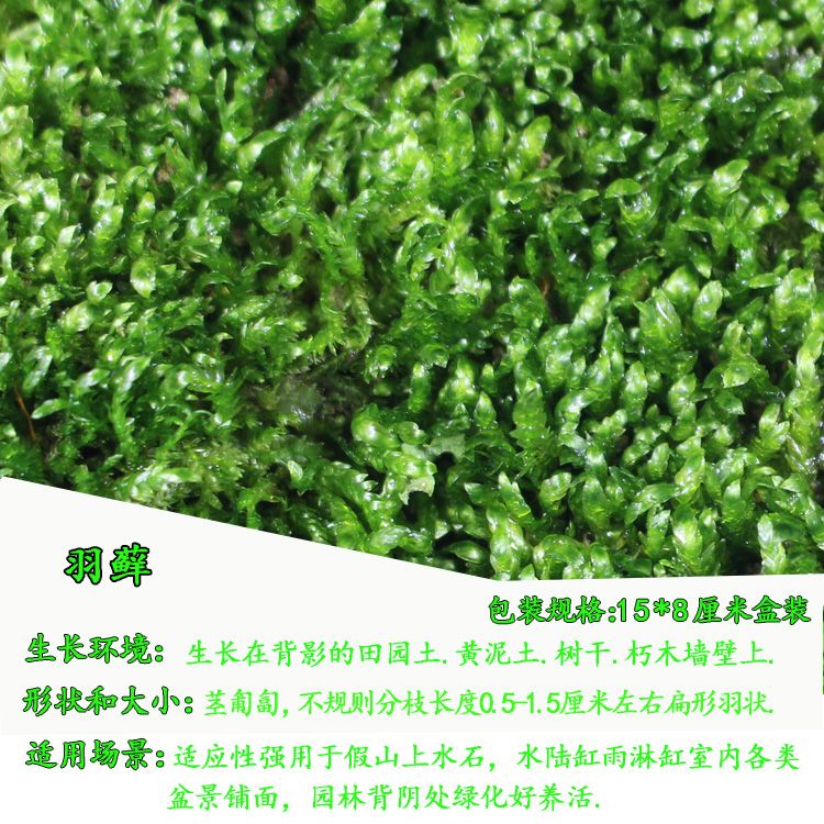 c6bcc617-dd32-4404-8765-cfa75f036374.jpg