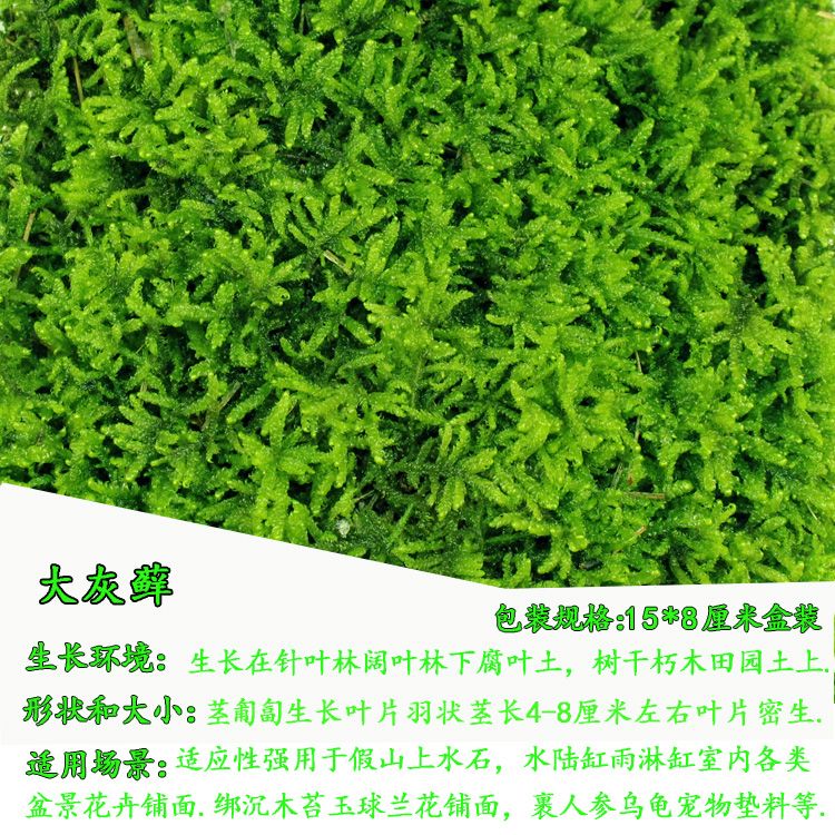 c99b3a92-84b3-478f-b26f-97b3b7a8d55e.jpg