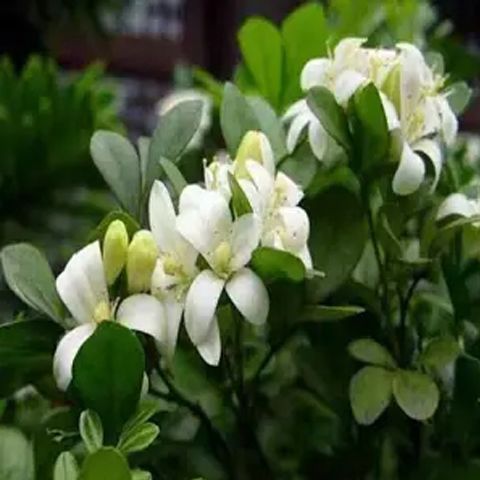5fb0ad89-00ea-476d-996e-5c4f9e47e572.jpg