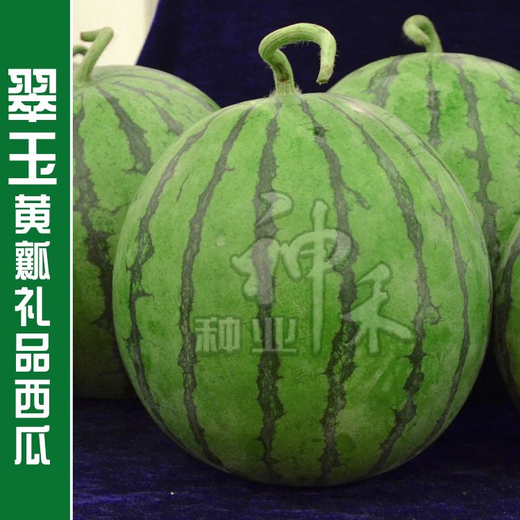 ac8d3971-d609-45eb-a4fe-0ab92794d847.jpg