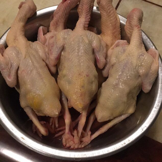 五谷杂粮鸽子肉五谷杂粮喂养农家土特产包邮卤煮脆皮乳鸽真空包装