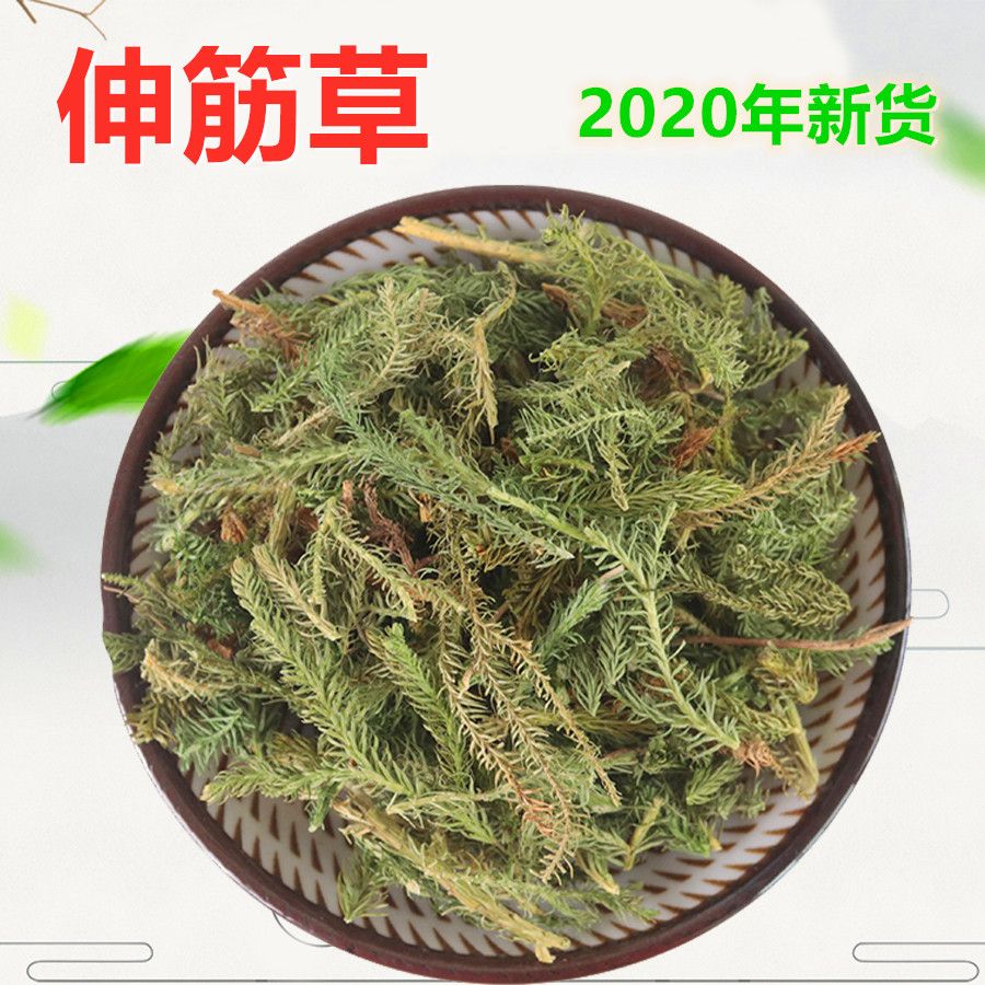 伸筋草舒筋草新货野生泡茶泡酒因为是干货泡茶泡酒袋装100克500克