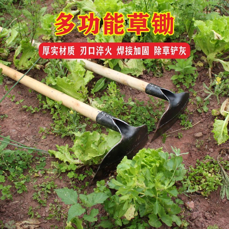 2917c628-7ec9-4a29-bd0e-58f0cd797a2a.jpg