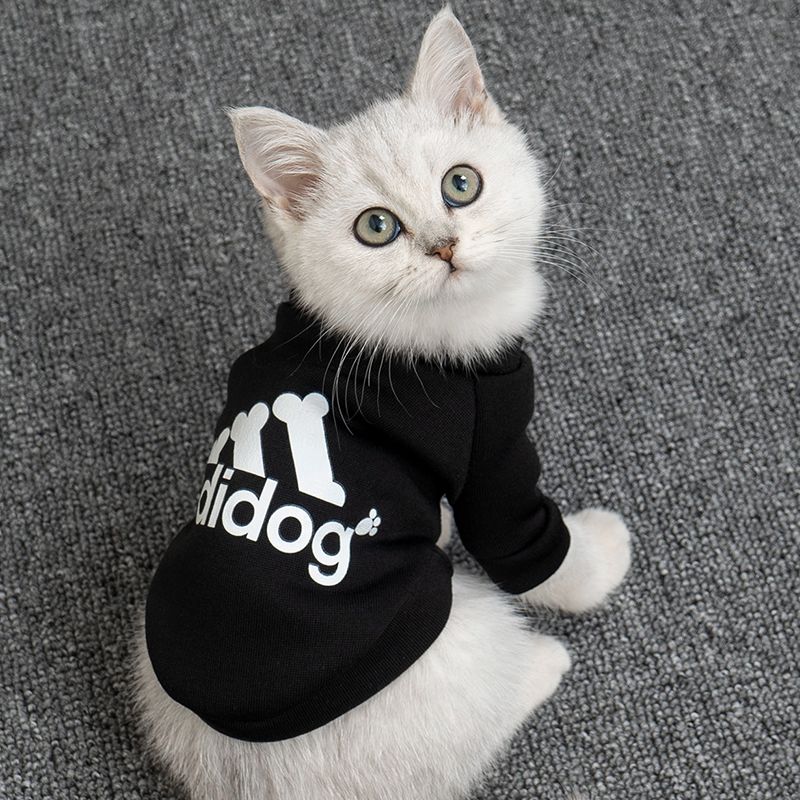 Dog clothing summer sweater Teddy Bomei pet kitten puppy spring and autumn fashion kitten clothing