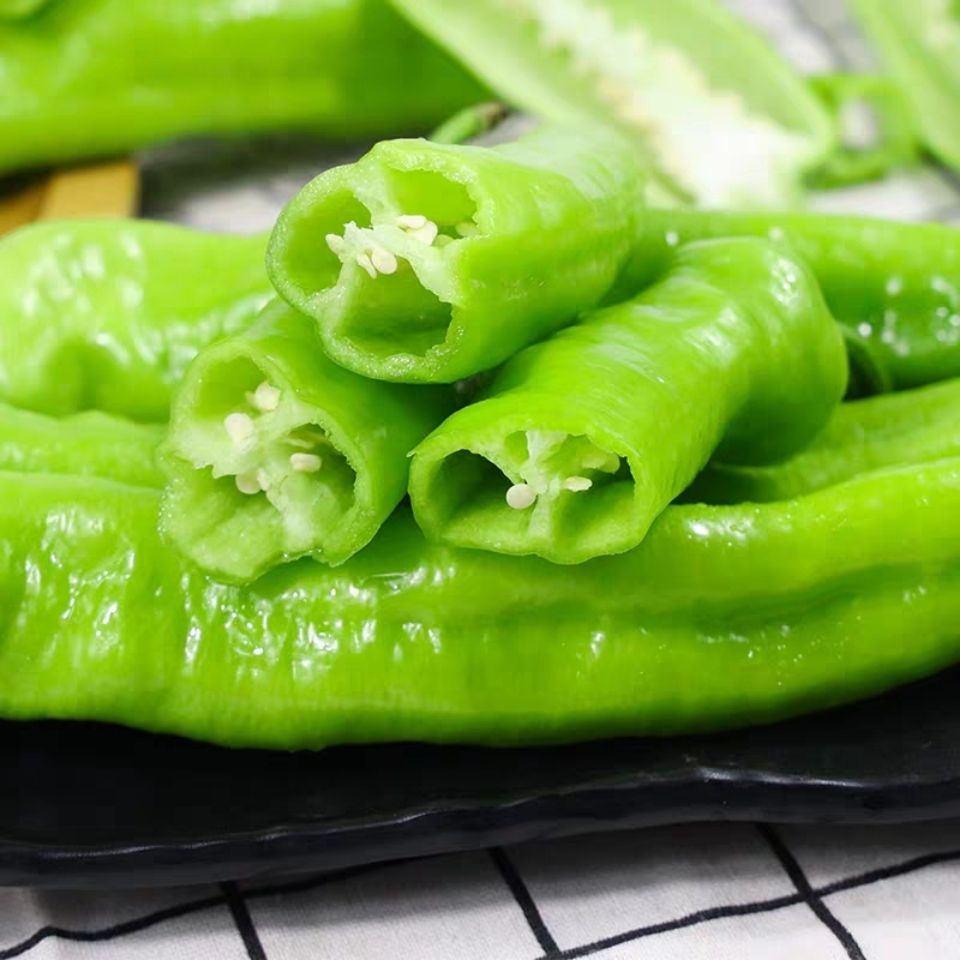 辣椒新鲜 绿尖椒 新鲜蔬菜 虎皮尖椒现摘现发 寿光温室大棚