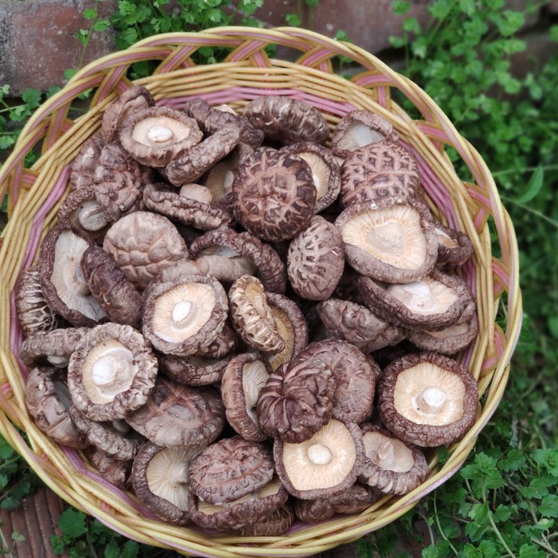 河南香菇干货500g干香菇花菇蘑菇冬菇干菇非椴木100g批发包邮