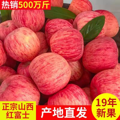 当季新鲜山西红富士苹果 脆甜多汁苹果3/5/10斤 新鲜水