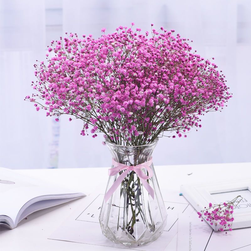 高档干花满天星 f39dce9c-2254-4321-90f4-fe119c16ce5e.jpeg