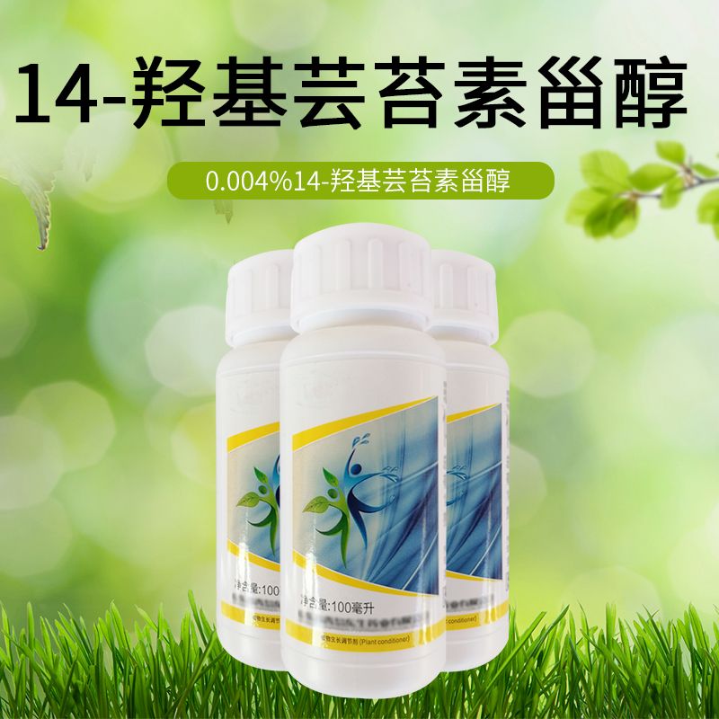 整箱批发14-羟基 芸苔素甾醇大户首选