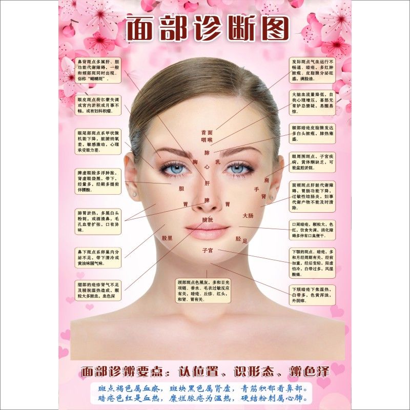 人体面部穴位图经络美容院脸部按摩中医养生图片挂图刮痧面诊海报