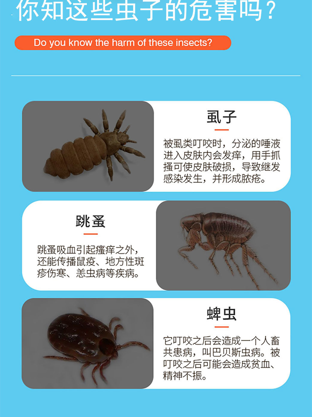 猫蚤圈什么原理_猫蚤咬人后什么症状